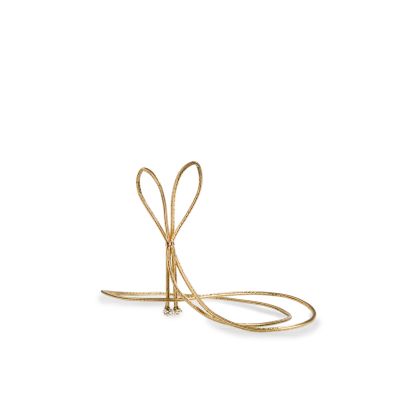 Elastic loop