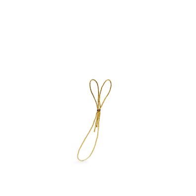 Elastic loop