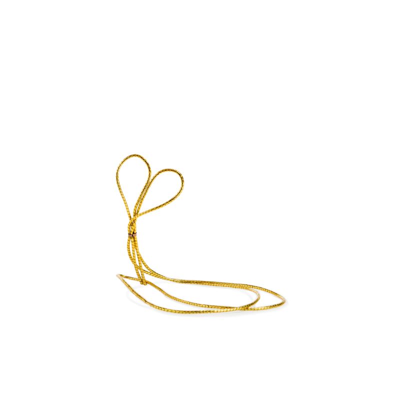 Elastic loop