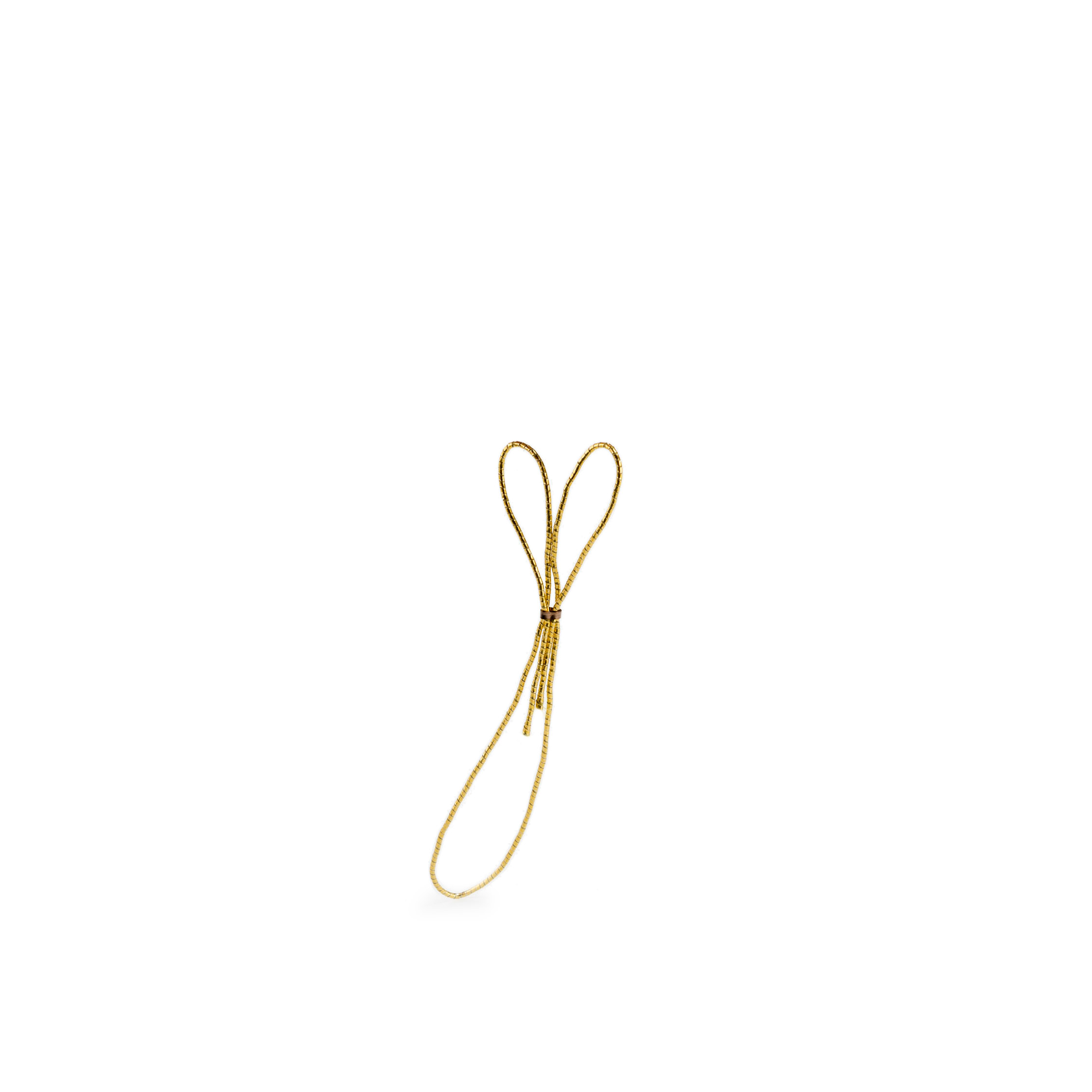 Elastic loop
