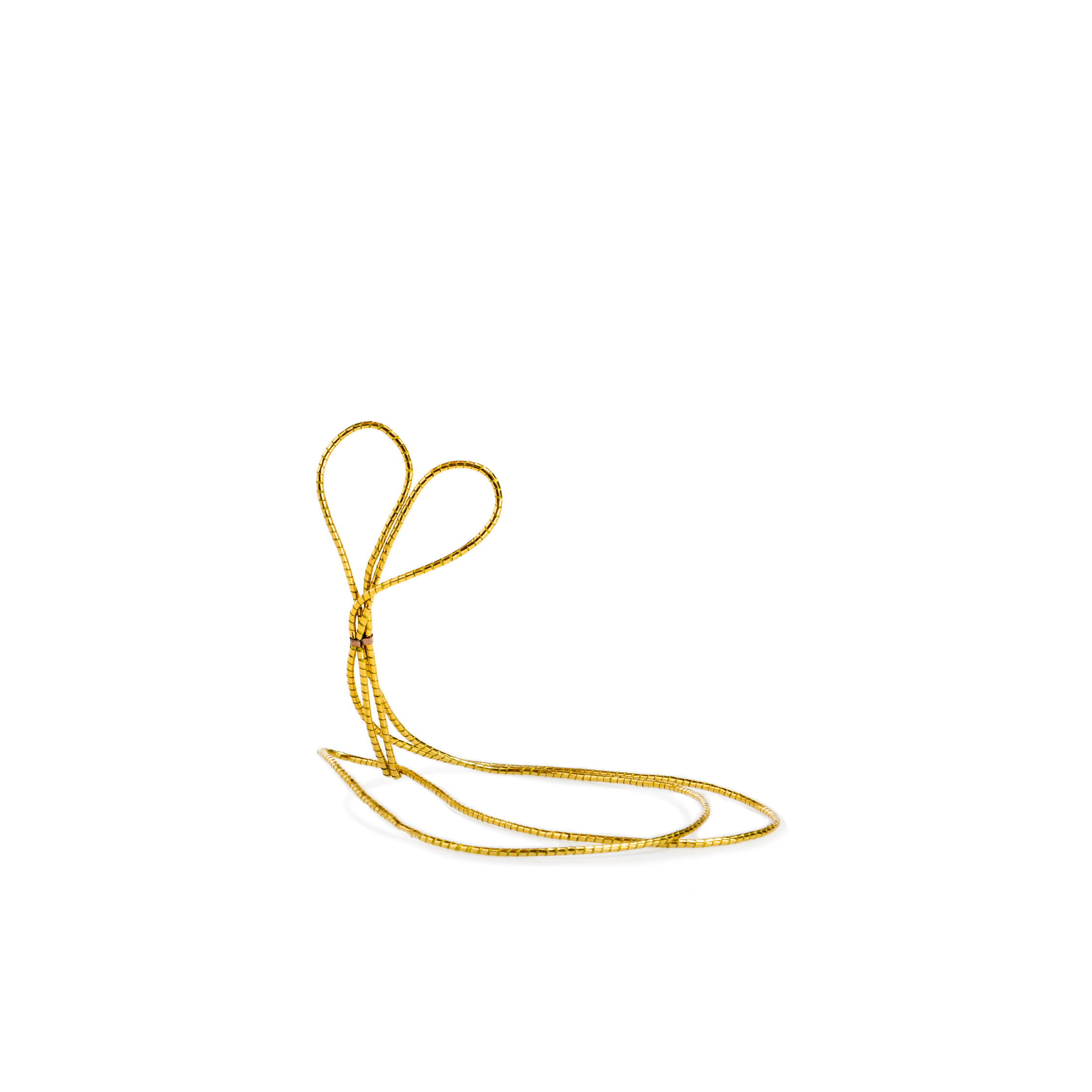 Elastic loop